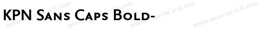 KPN Sans Caps Bold字体转换